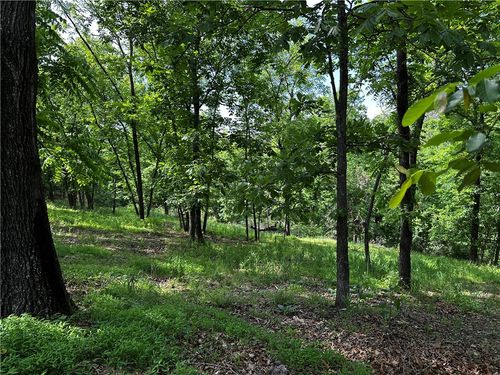 Lot 100 E Robin Rd, Rogers, AR, 72756 | Card Image