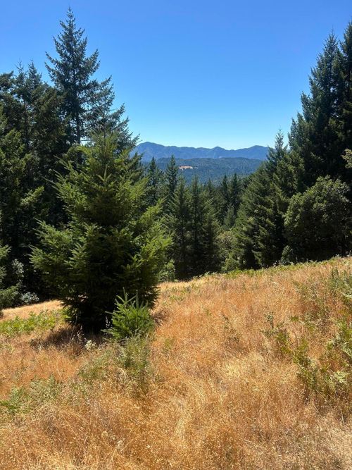 5972 Panther Gap Road, Honeydew, CA, 95545 | Card Image