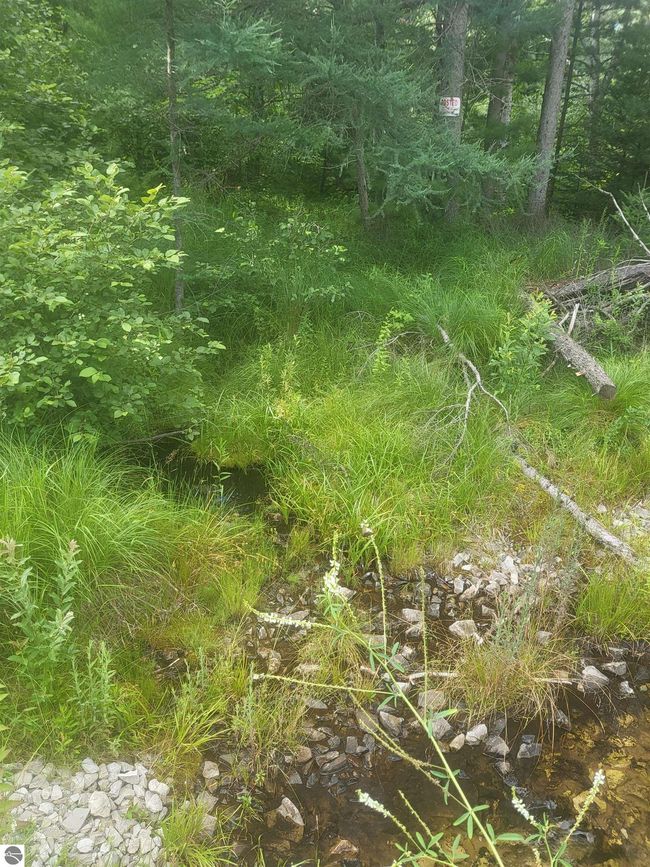 0 Vaughn Rd, Home with 0 bedrooms, 0 bathrooms and null parking in Hale MI | Image 8
