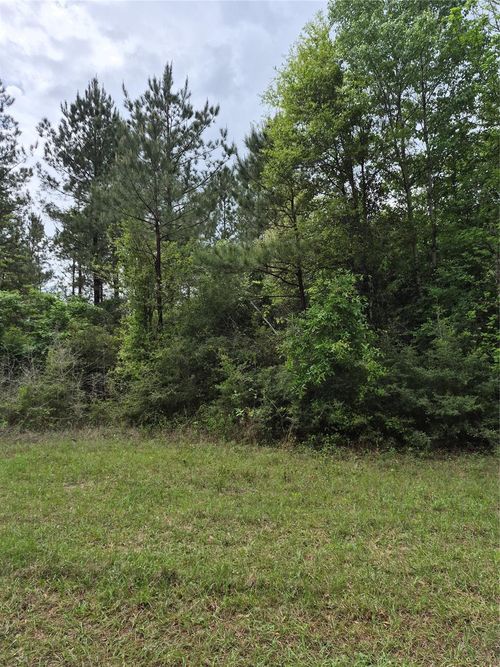 0001 E Schwab, Livingston, TX, 77351 | Card Image