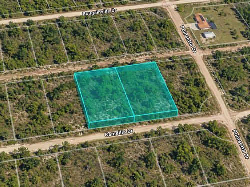 304 & 306 Camellia Drive, Indian Lake Estates, FL, 33855 | Card Image