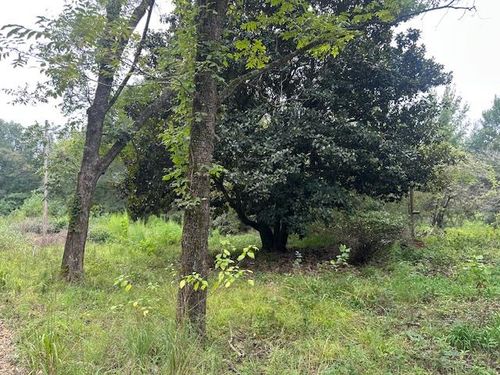 274 Galena Ridge Rd, Haworth, OK, 74740-5075 | Card Image