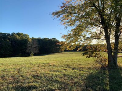 View of Meadow and Treeline | Image 1