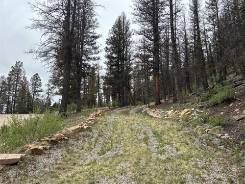 225 Trout Creek Ln, FAIRPLAY, CO, 80440 | Card Image