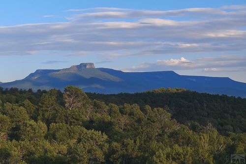 14585 Indian Spring Dr, Trinidad, CO, 81082 | Card Image