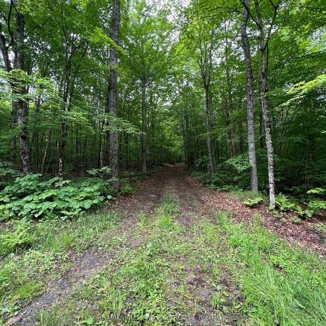 0 Chapman Strong Rd, Home with 0 bedrooms, 0 bathrooms and 8 parking in Sundridge ON | Image 27