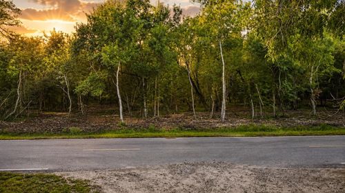 TBD 00 County Road 647, Guy, TX, 77444 | Card Image