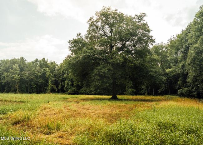 Castens Creek Pics-76 | Image 36