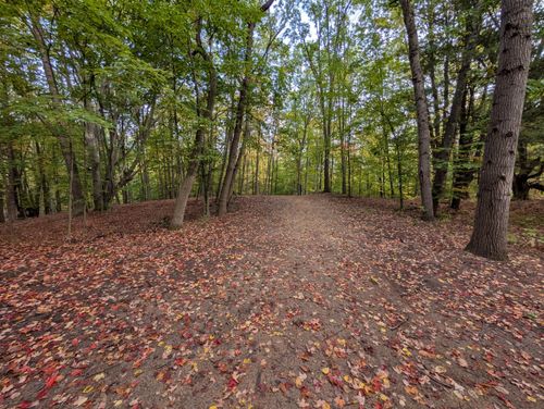 164-V/L E Kissing Oaks Trail, Custer, MI, 49405 | Card Image