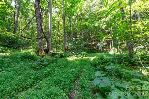 3-### Board Tree Road, Marshall, NC, 28753 | Card Image