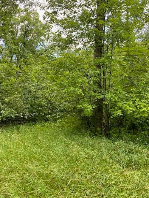 Lt0 Netzel Ln, Crivitz, WI, 54114 | Card Image