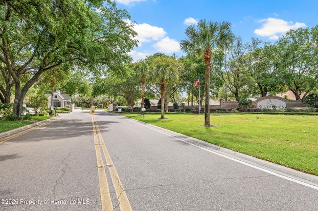 4210 Silver Berry Ct, House other with 3 bedrooms, 2 bathrooms and null parking in SPRING HILL FL | Image 49