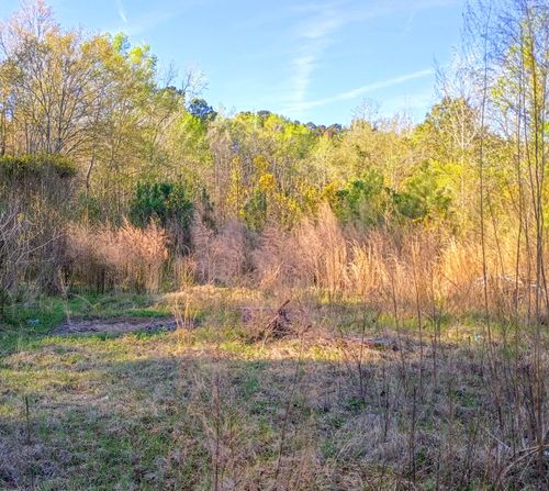 67 Cone Ct, Cottageville, SC, 29435-5138 | Card Image