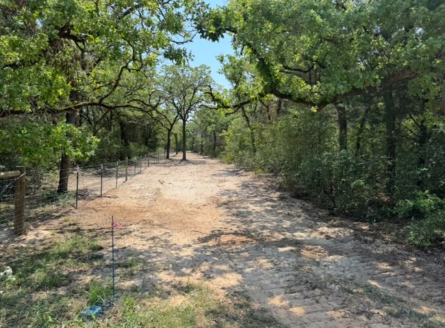 1480 County Road B, Home with 0 bedrooms, 0 bathrooms and null parking in Lexington TX | Image 5