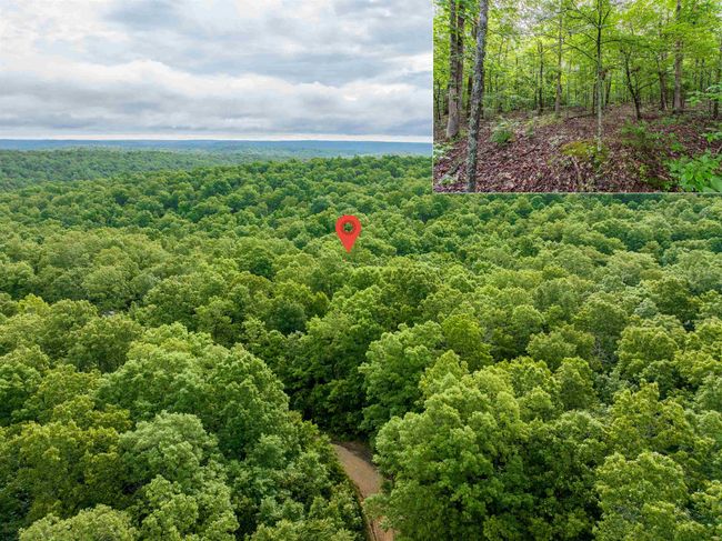 00 Red Fox Rd, Home with 0 bedrooms, 0 bathrooms and null parking in Hardy AR | Image 7