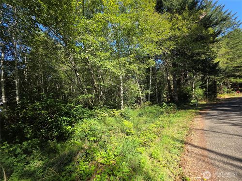 0 Cedar Pl, Elma, WA, 98541 | Card Image