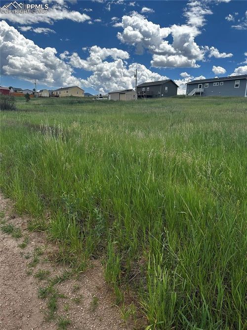 1298 Will Scarlet Dr, Divide, CO, 80814-9531 | Card Image