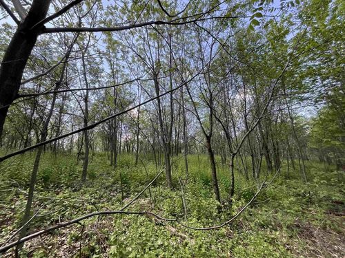 Lot 22 Fur Ln, Oxford, WI, 53952 | Card Image