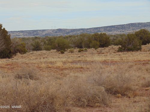 42 N5576, Concho, AZ, 85924 | Card Image