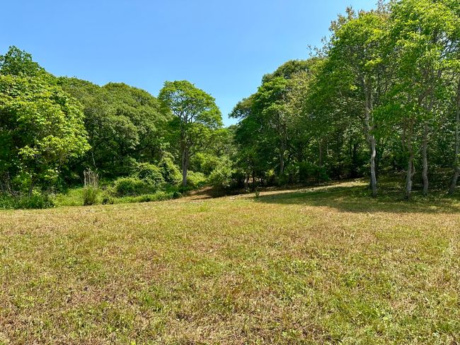 0 Jeffers Way, Home with 0 bedrooms, 0 bathrooms and null parking in Chilmark MA | Image 7