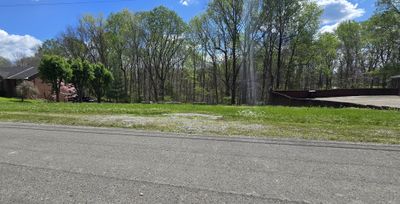 The lot next to driveway is part of the property | Image 2