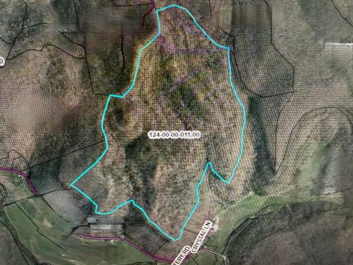 999 Flinchum Rdg, Ravenna, KY, 40472 | Card Image