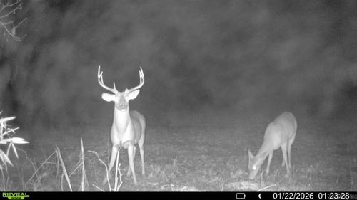 00 cr 415 County Rd 415, Widener, AR, 72335 | Card Image