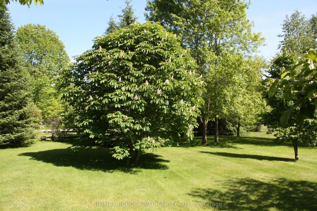 412 Barnum House Rd, House other with 2 bedrooms, 2 bathrooms and 6 parking in Grafton ON | Image 39