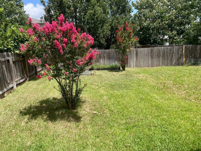 View of fenced backyard | Image 6