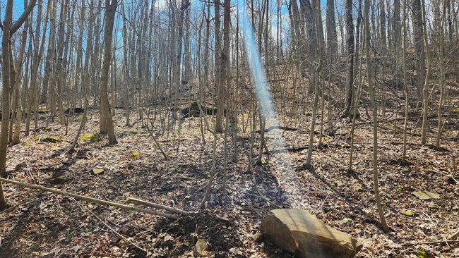TRACT-1-PIKE-LAKE-GETAWA - 0 Pike Lake Rd, Home with 0 bedrooms, 0 bathrooms and null parking in Bainbridge OH | Image 38