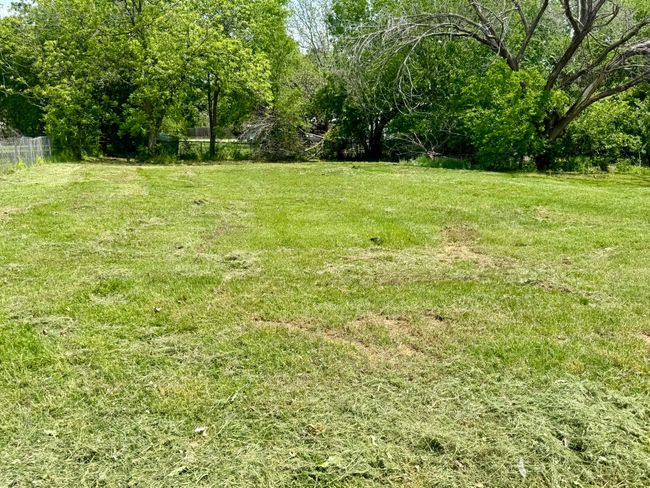 cleared land | Image 4