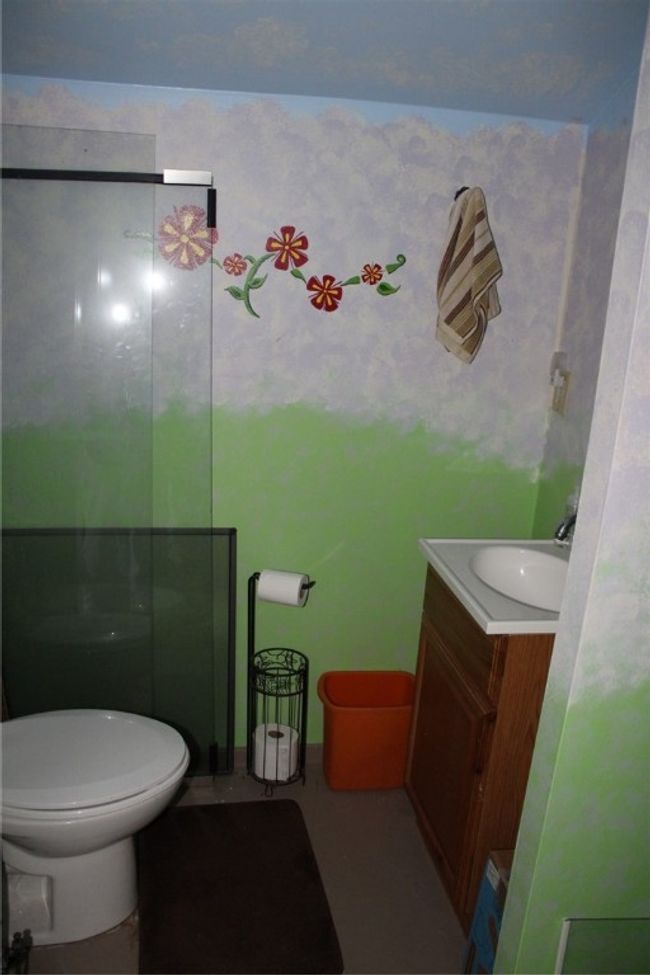 27 Gibbs Ln, House other with 1 bedrooms, 2 bathrooms and null parking in Noel MO | Image 21