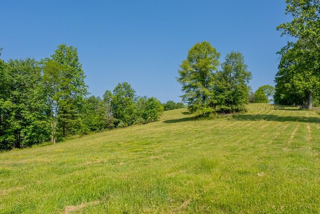 688 Gibson Knob Rd, Home with 0 bedrooms, 0 bathrooms and null parking in Laurel Fork VA | Image 65