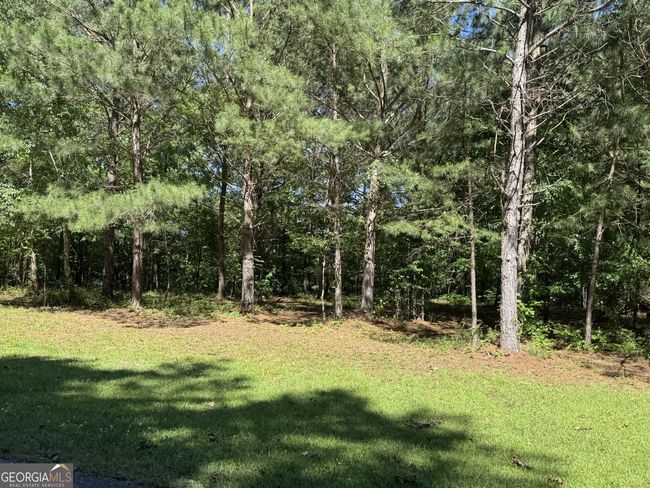 LOTS 90 & 91B Wright Way Dr, Home with 0 bedrooms, 0 bathrooms and null parking in Wedowee AL | Image 5