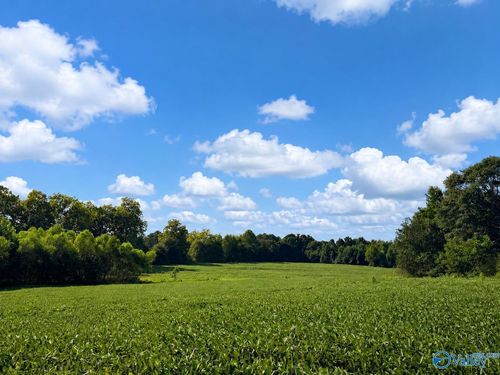 18.6 Acres Highway 431, Boaz, AL, 35956 | Card Image