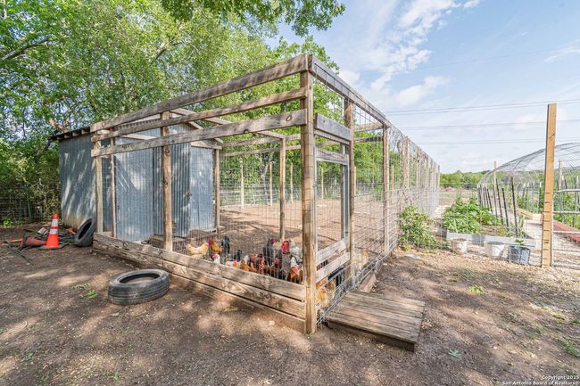 3951 Briar Hollow St, House other with 3 bedrooms, 2 bathrooms and null parking in San Antonio TX | Image 46
