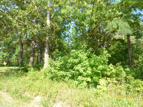 0 Big Woods Rd, Pineville, SC, 29468 | Card Image