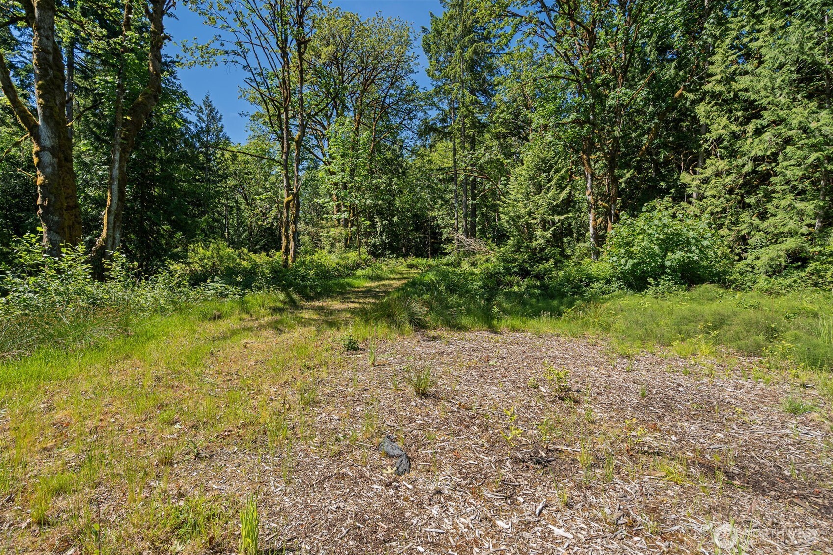 Land in Port Orchard 3