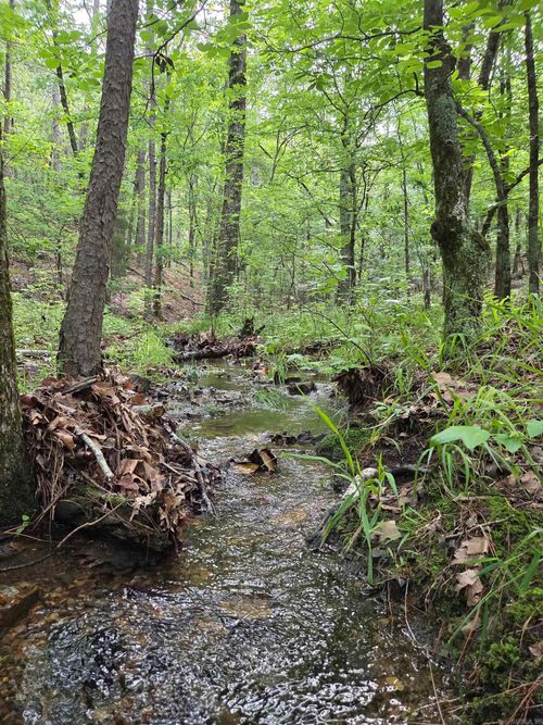 301 Chaparral Ln, Mena, AR, 71953-3917 | Card Image