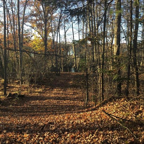 N11169 Rademaker Road, WAGNER, WI, 54177 | Card Image