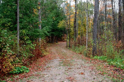 1060 Nordic Rd, Arden, ON, K0H1B0 | Card Image