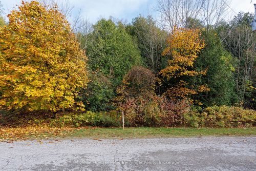 LT 17 Pl 594 Courtney Court S, Ashfield-Colborne-Wawanosh, ON, N2Z2X3 | Card Image