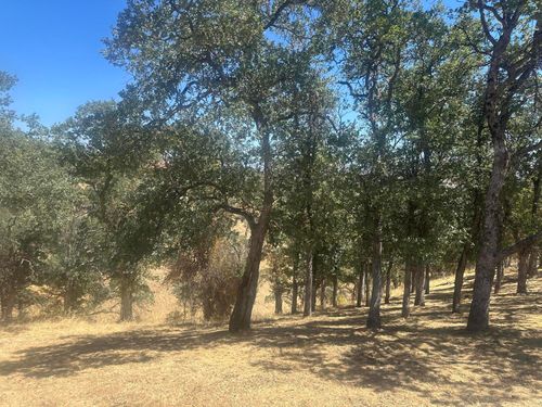 19432 Little Valley Drive, Cottonwood, CA, 96022 | Card Image