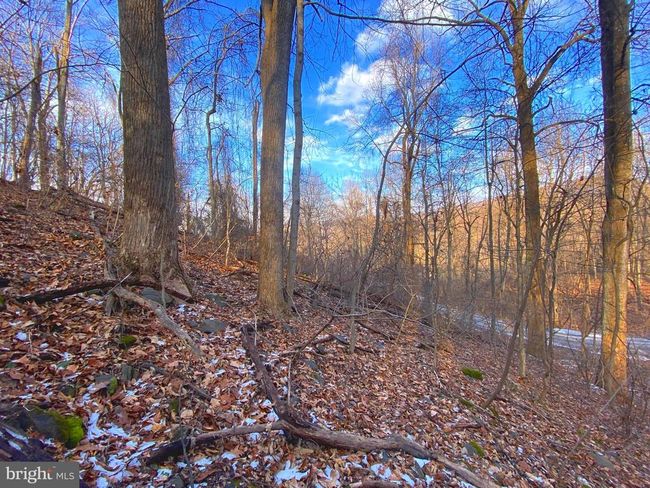 00 Hickory Tree Rd, Home with 0 bedrooms, 0 bathrooms and null parking in FRONT ROYAL VA | Image 12