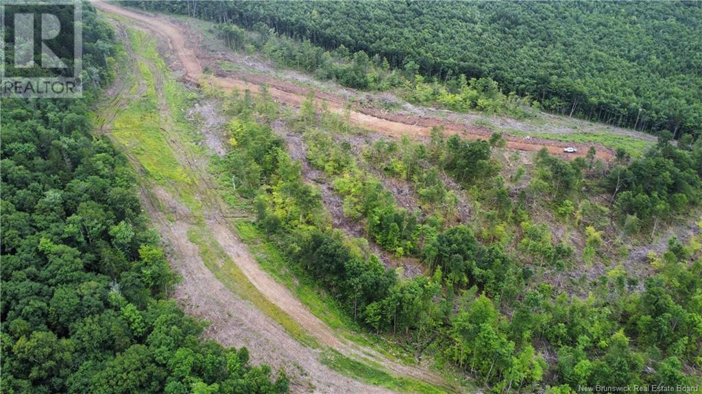 Land in Central Hainesville 5