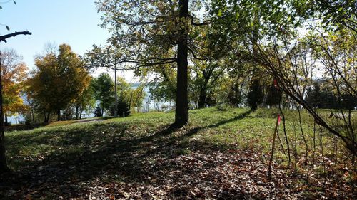 893 White Clover Beach Rd, Detroit Lakes, MN, 56501-4918 | Card Image