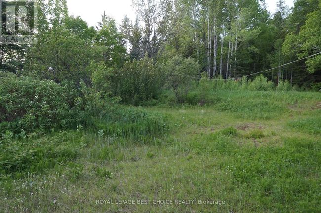 994328 Highway 11, House other with 4 bedrooms, 4 bathrooms and 6 parking in Cobalt ON | Image 18