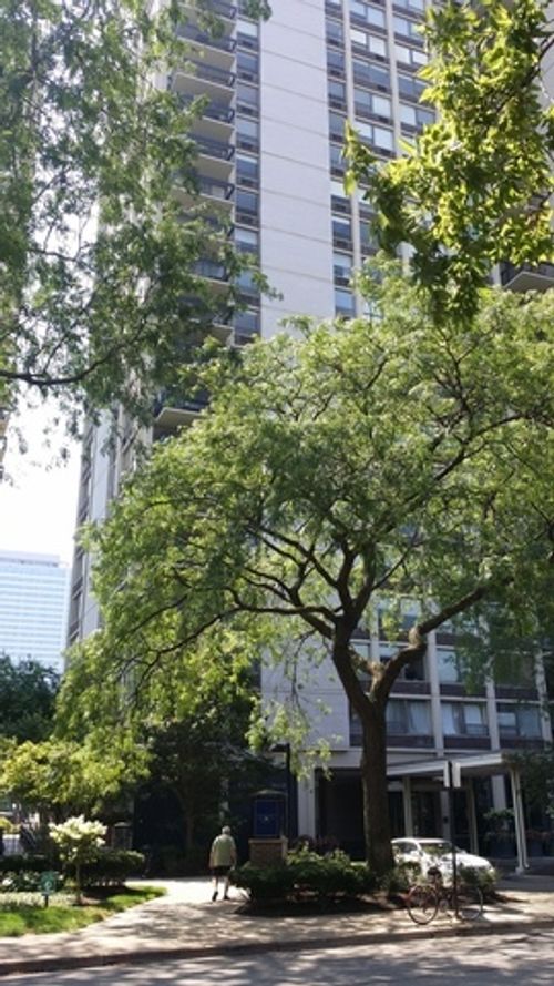 2002c-1360 N Sandburg Ter, Chicago, IL, 60610-7471 | Card Image