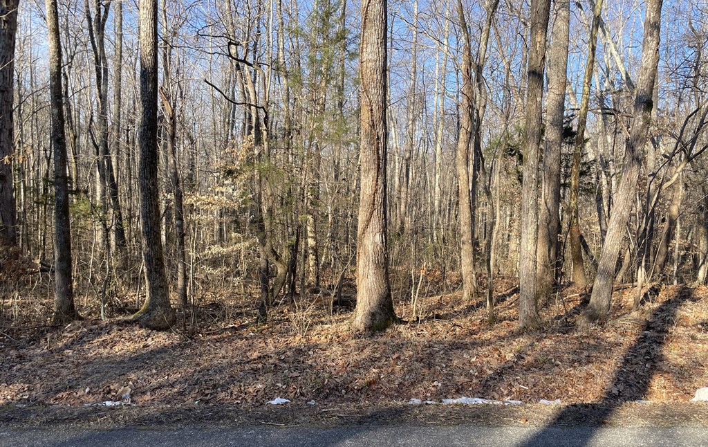 Land in Drakes Branch 2