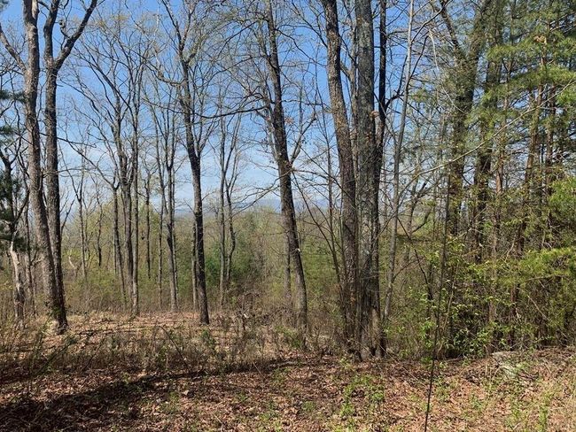 91 - 43 Old Burnt Mountain Rd, Home with 0 bedrooms, 0 bathrooms and null parking in Ellijay GA | Image 16